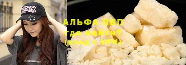 прущие крисы Белокуриха