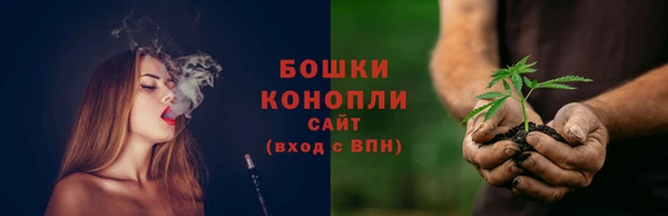 прущие крисы Белокуриха
