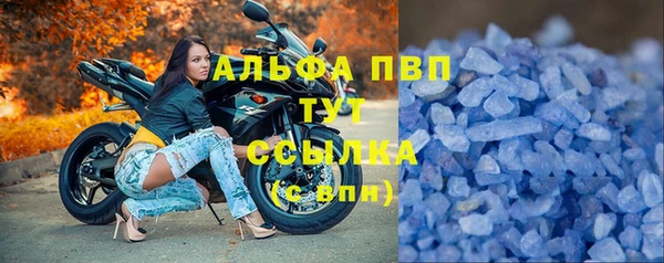 прущие крисы Белокуриха