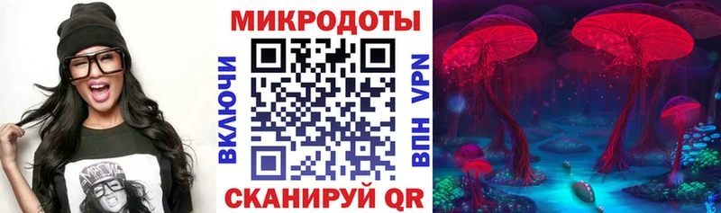 купить наркоту  Сердобск  Галлюциногенные грибы Magic Shrooms 